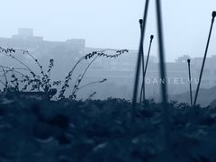 -光明小镇欢乐田园