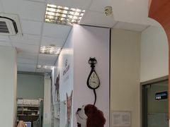 -瑞派申生动物医院·24H夜诊·国际动物医疗中心·骨外科(吴中路店)