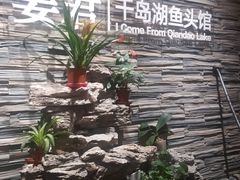 -姜君·千岛湖鱼头馆(浦东大道店)