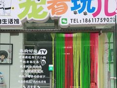 -宠着玩儿宠物生活馆