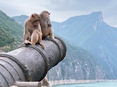 -白帝城·瞿塘峡景区