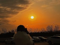 -北京群众马术培训基地