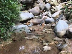 -火炉山森林公园