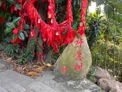 -青青世界