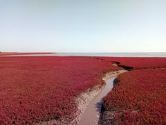 景点-红海滩国家风景廊道