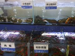 -欢乐海岸美食联盟