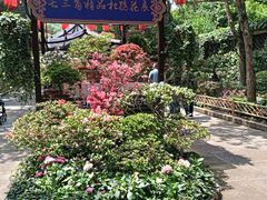 -上海尚嘉中心