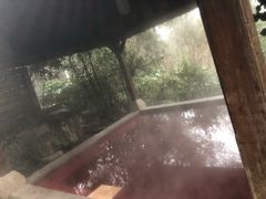 -天目湖涵田半山温泉