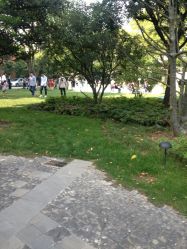 -上海瑞金洲际酒店·宴会厅