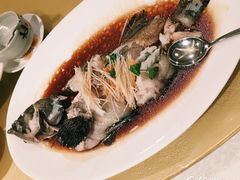 清蒸大海班鱼-红棉中餐厅·广州海航威斯汀酒店