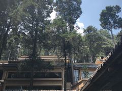 -寂照庵