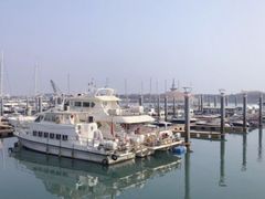 -渡海小渔村.老辈日照菜