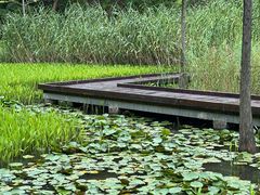 -昆山城市生态森林公园