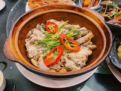 招牌焗多宝鱼-美极鲜食坊(宝安南路店)