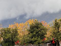 -溪口-滕头旅游景区