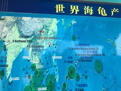 -广东惠东海龟国家级自然保护区