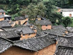 -杨家堂村