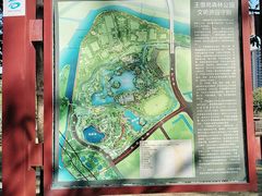 -王借岗森林公园
