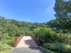 -云溪植物园