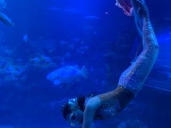 -太平洋海底世界