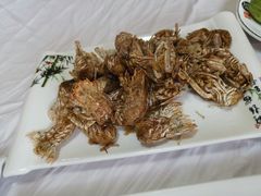 -宾朋海鲜特色美食餐厅·纯手工鲅鱼水饺(兴海路店)