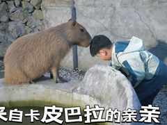 -成都欢乐谷