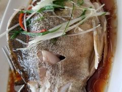 -上海浦东康桥绿地假日酒店