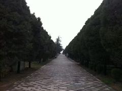 -秦始皇帝陵博物院-丽山园