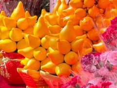 -越秀西湖花市(广州城市广场花卉店)