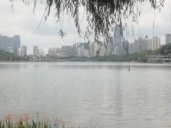 -南宁南湖公园