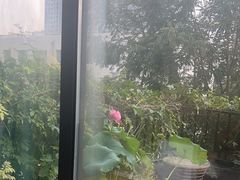 -瓦舍茶馆(聚源路店)