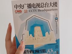 -中央广播电视总台(光华路办公区)