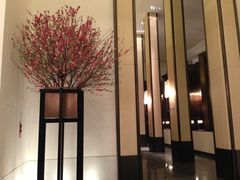 lobby-广州文华东方酒店