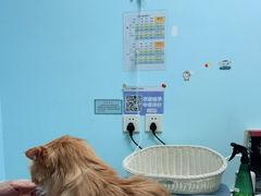 -纳吉亚猫专科动物医院博雅分院