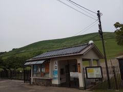-奈良公园