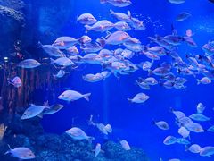 -成都浩海立方海洋公园