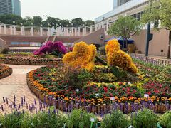 -九龙公园