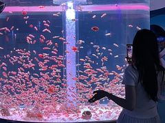 -海合安成都极地海洋公园
