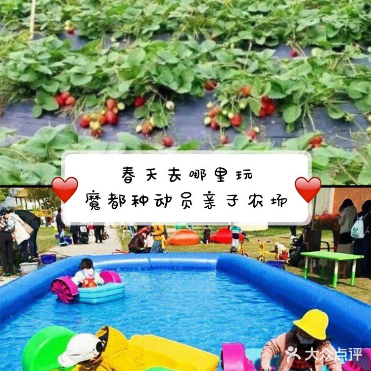 春天可以带孩子去农场溜溜娃,来上海种动员亲子农场看看吧