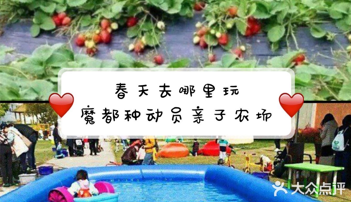 春天可以带孩子去农场溜溜娃，来上海种动员亲子农场看看吧