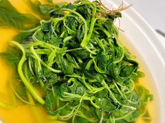 上汤苋菜-禧宴Joyous Restaurant(禧园店)