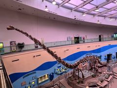 -陕西自然博物馆