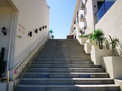 -广鹿岛