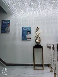 -北京丽星翼美医疗美容