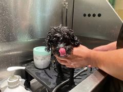 -電力宠物公司(武定路店)