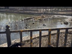 -仁和公园(顺义区)