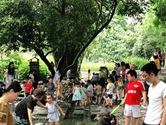-成都市活水公园