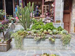 -寂照庵