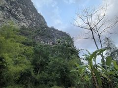 -明仕田园