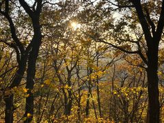 -帽儿山国家森林公园